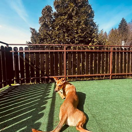 Willa Karolinka Stroza - Pet Friendly Мысленице Экстерьер фото